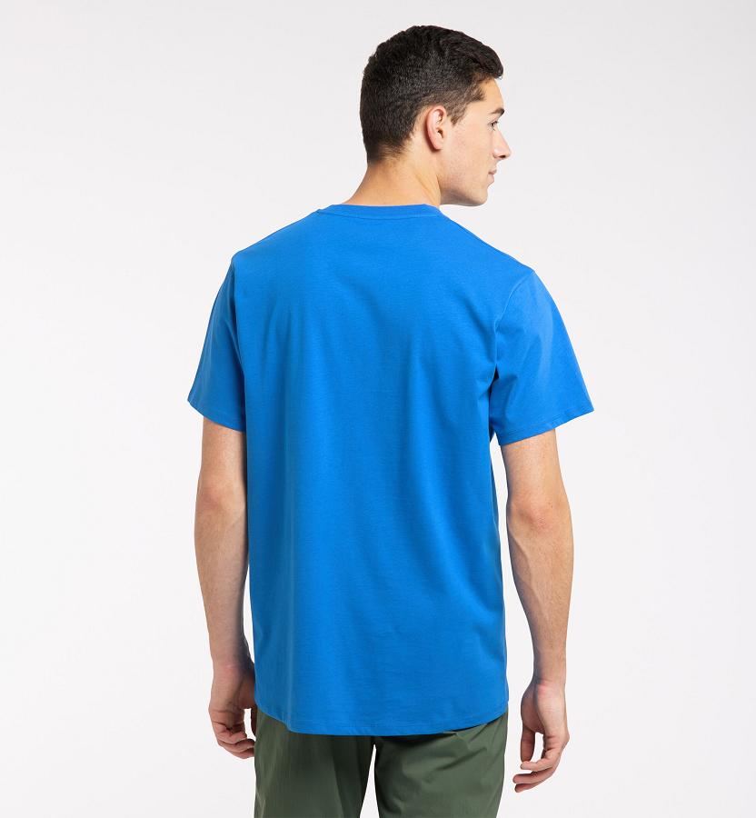 Haglöfs Mens Camp T-Shirt Blue New Zealand 67359BTPC